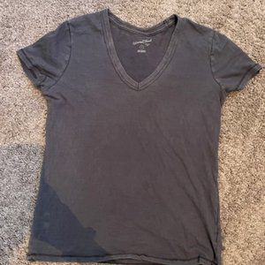 Fitted V neck Shirt